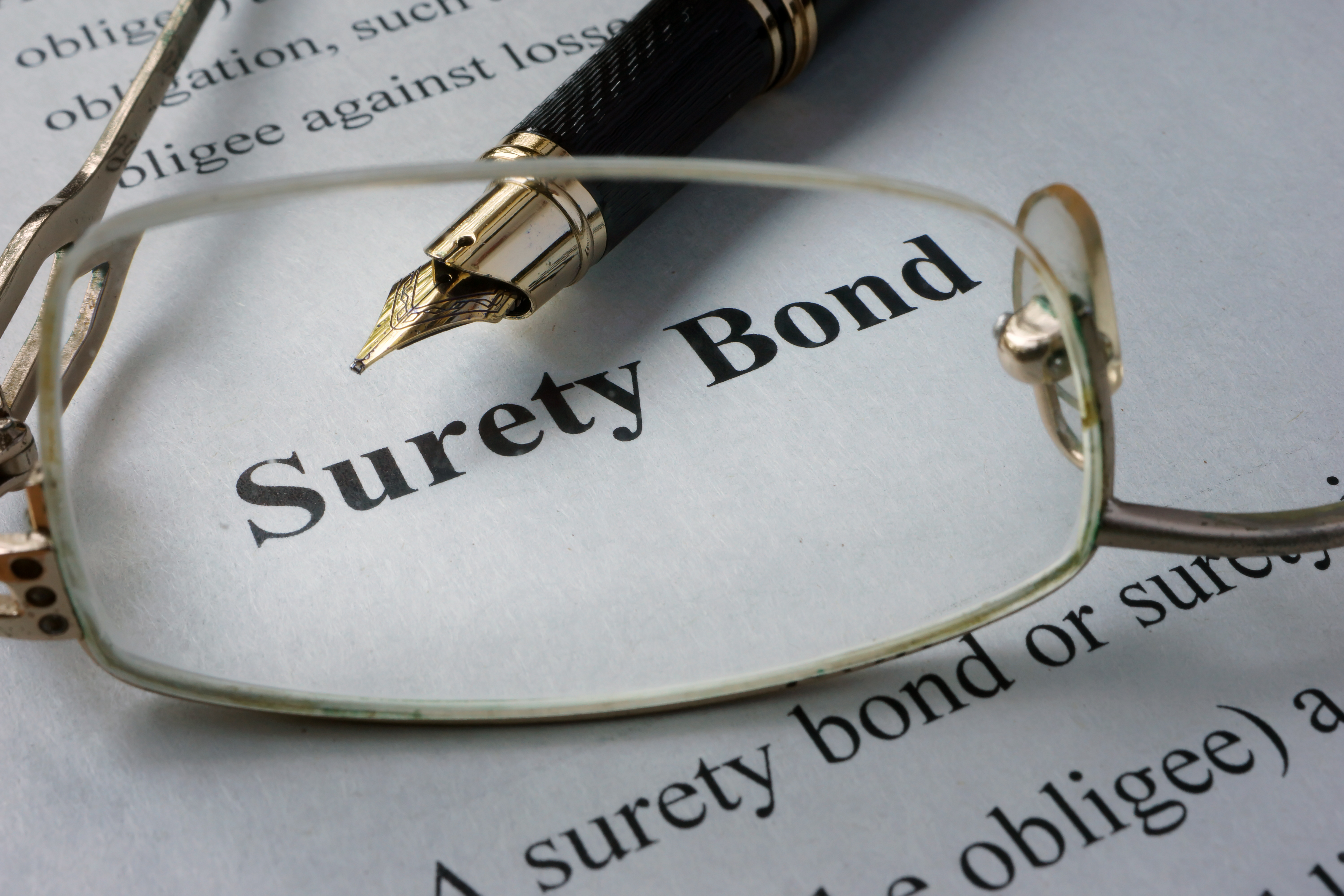 Surety Bond Bail Bond Harris County Houston